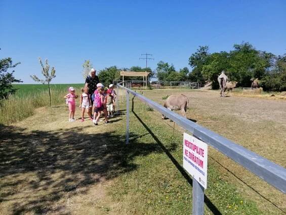 MŠ Lhota: Výlet Zoopark Olovnice – červen 2022 – Základní škola a mateřská škola Družec