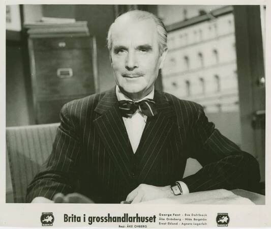 Ernst Eklund - Brita i grosshandlarhuset - Fotosky