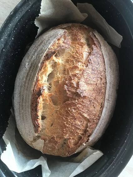O mrazení cesta na chlieb