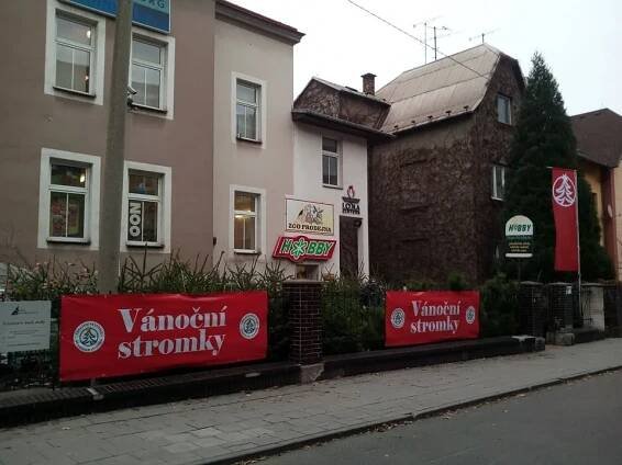 Voňavý symbol Vánoc: až 225 cm vysoká živá jedle ve špičkové kvalitě