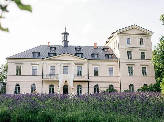 Chateau Mcely, a grand white structure, surrounded by blooming purple flowers at its entrance.