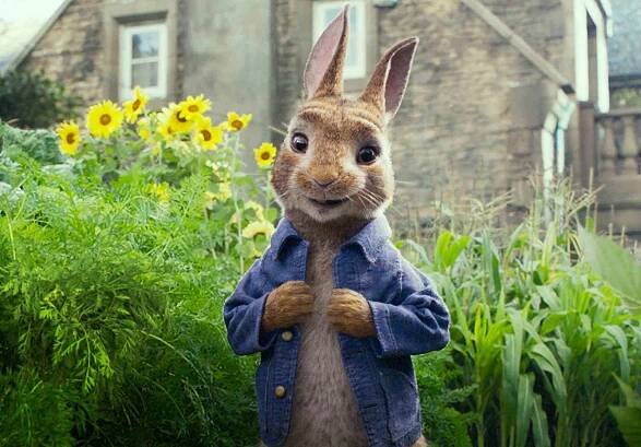 Peter Rabbit (James Corden) in Columbia Pictures' PETER RABBIT.