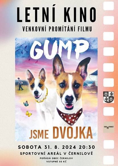 Letní kino - promítání filmu Gump jsme dvojka - Obec Černilov