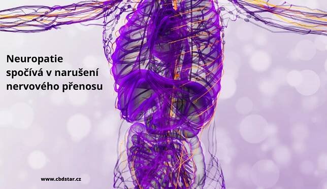 neuropatie narušení nervového přenosu