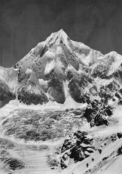Soubor:12plancheXII.JPG
