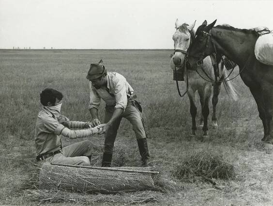 György Bánffy - Sokolníci - Z filmu