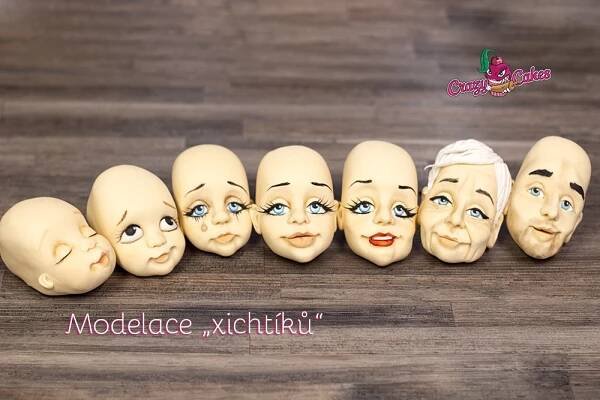 Modelace xichtíků