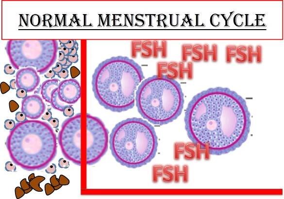 Home of OBGYN Lectures | Table1