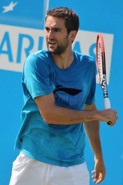 Soubor:Cilic QC15 (16) (20287192382).jpg – Wikipedie
