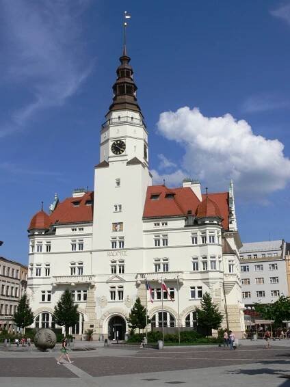 Instituce | Mlynek.cz