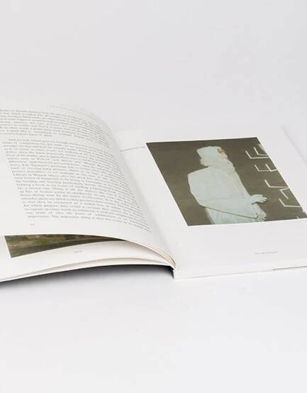 Luc Tuymans - catalogue Budapest & Warsaw