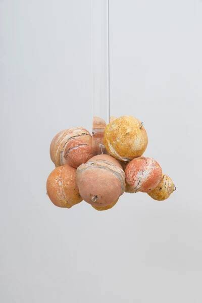 Untitled (Citrus Balls 6) Solid cast acrylic rod, various citrus fruit rinds, epoxy putty, oil pastel, stainless steel wire, and enamel; dimensions variable; 2018