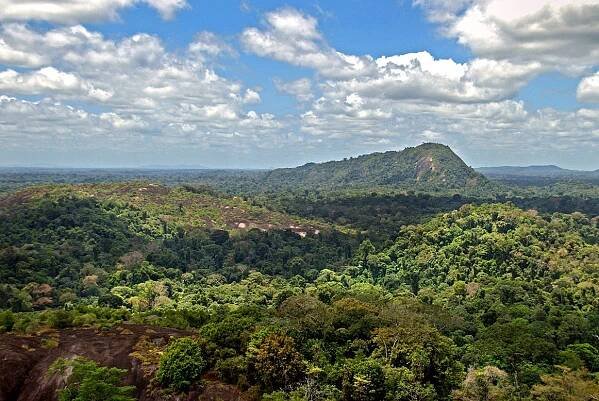 Mount Volzburg, Suriname