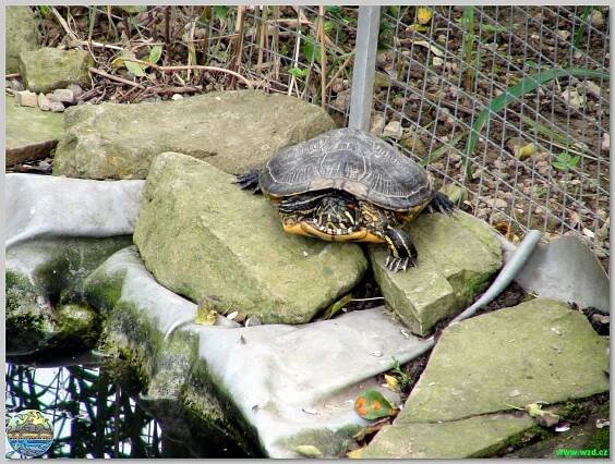 Fauna Park - Dětský ráj Valašské Meziříčí - Štěpánov