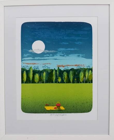 Tomáš Bím - Piknik - DioArt