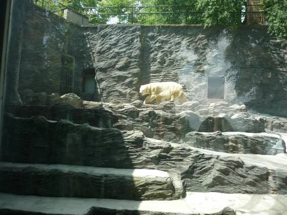 Zoo Praha | Šlápoty.cz – vydejte se po našich stopách