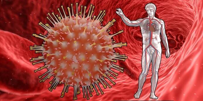 Covid-19 je cévní onemocnění. Spike protein koronaviru napadá cévní systém na buněčné úrovni