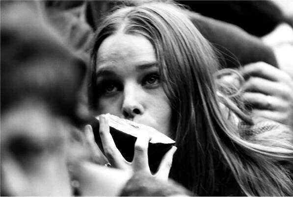 Michelle Phillips