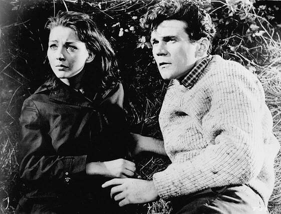 Don Murray