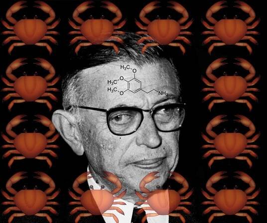 Sartre’s Bad Trip by Mike Jay