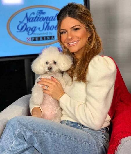 Maria Menounos Wants You to Take a Moment to Thank Your Pet This Thanksgiving: 'It's Obvious'