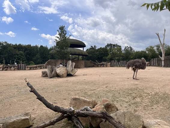 Stezkami ZOO - ZŠ PŘEMYSLOVCŮ LOUNY