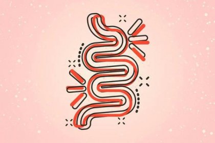an illustration of a gut