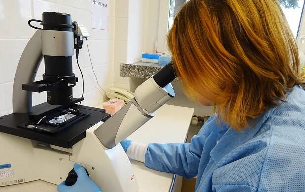 Laboratoř biotechnologie – Farmakologie a imunoterapie