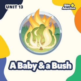 A Baby and a Bush - Unit 13