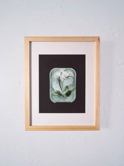 Megan Baker- Orchid Room — Martha's