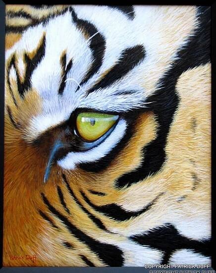 Wildlife - Page 6 of 7 - Patrick Duff