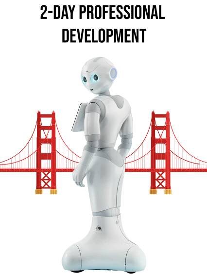 Transport Case for Pepper Robot