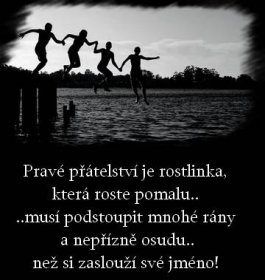 Pohlednice, obrázky a citáty Děkovné | Pravé přátelství |  www.blahopranicka.cz | Textová a obrázková přáníčka, blahopřáníčka, citáty  a elektronické pohlednice