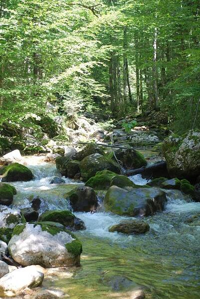 Rettenbach (Traun)