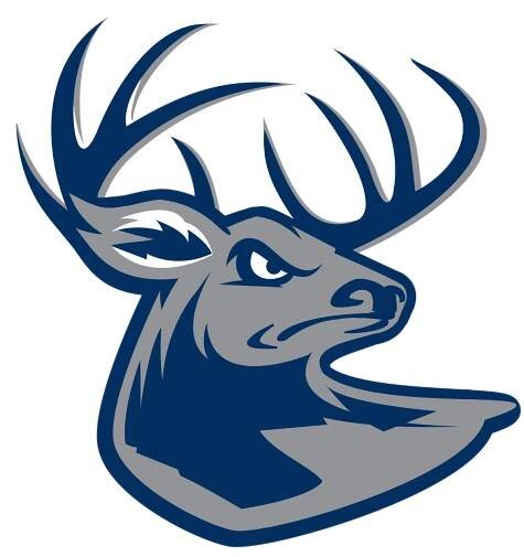Odense Bulldogs - Odense Bulldogs