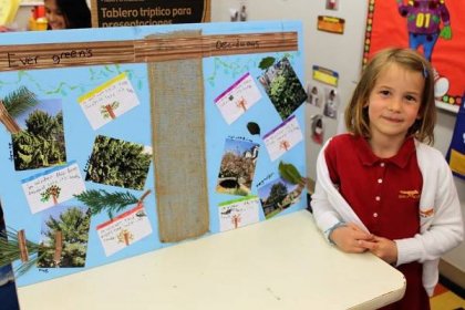 Elementary girl with science project about tree types