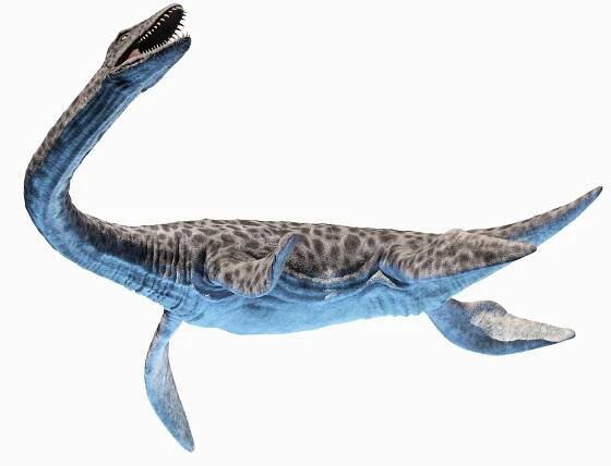 dinosaurs dinopack large 3D model https://p.turbosquid.com/ts-thumb/Mh/gPUN4v/AM/plesiosaurus_animated_poses0065/jpg/1610967129/1920x1080/fit_q87/47b3cacc7cb7d734091b80f62bb234d208f4ef40/plesiosaurus_animated_poses0065.jpg