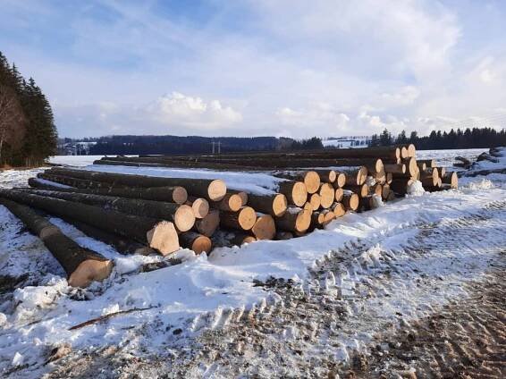 Nákup a prodej dřeva | Palivové dřevo, dříví, těžební, pěstební činnost Písek, České Budějovice, Tábor, Volyně, Jihočeský