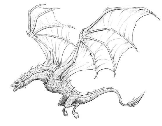 Not Found | Cool dragon drawings, Dragon sketch, Dragon drawing