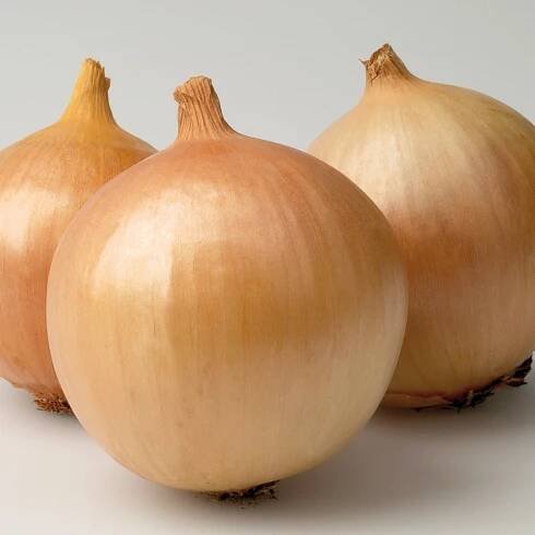 Kolik stojí 1 kg cibule?