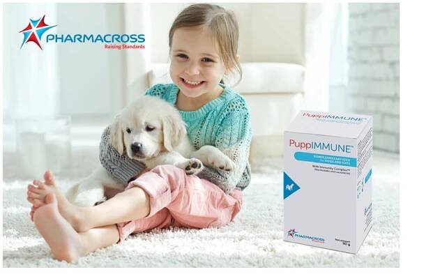GROWING PUPPIES: IMPORTANCE OF THE IMMUNE SYSTEM - Pharmacross