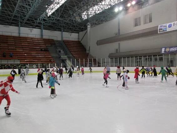 Karneval na bruslích - Základní škola Sportovní Uherské Hradiště