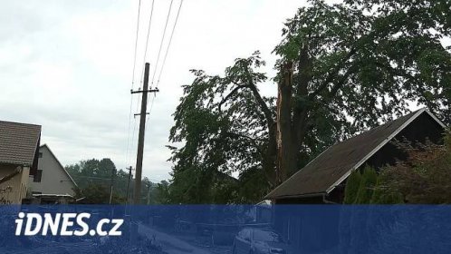 Chráněný starý jilm přelomila prudká bouře, strom už není rekordně vysoký - iDNES.cz