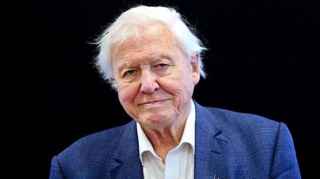 Krásné a ohrožené. Slavný Attenborough natočil ódu na rodné Britské ostrovy