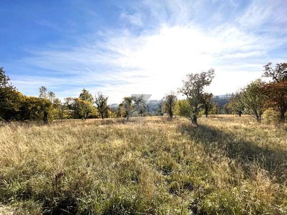 Prodej, stavební pozemek, 807 m2, Václavov u Bruntálu