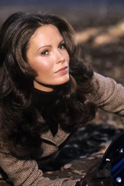 Pin by Bert M on Jaclyn Smith and angels | Jaclyn smith, Jaclyn smith charlie's angels, Jaclyn