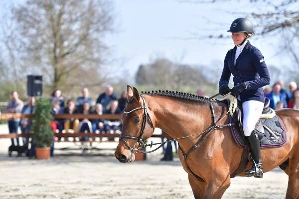 Hickstead Blue - Gestüt Ligges
