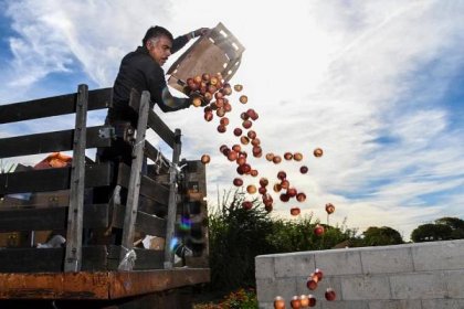 In-depth Q&A: What food waste means for climate change