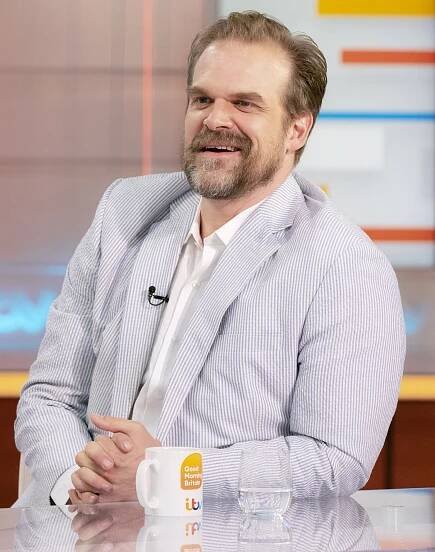 David Harbour, Lily Allen's Relationship Timeline: Photos