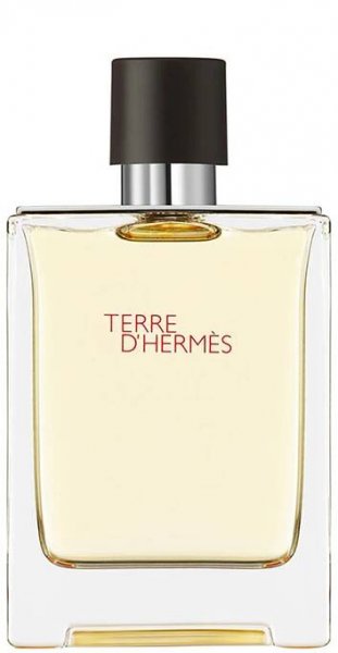 HERMÈS Terre d’Hermès toaletní voda pro muže